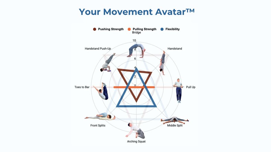 The Movement Avatar radar chart across strength and flexibility skills
